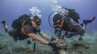 Fot. Official U.S. Navy Page/Flickr/CC 2.0