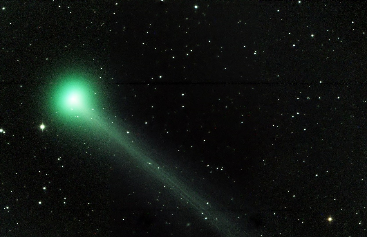 Zdjęcie komety C/2020 F8 (SWAN) wykonane 2 maja 2020 roku. Fot. Diego Toscan/Wikipedia (CC BY-SA 4.0)