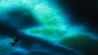 "Zielony śnieg" widziany od spodu. Fot. Wikimedia