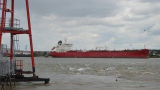 Fot. Matt Brown / Flickr