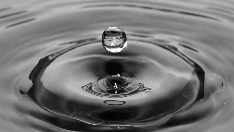 Fot. Pixabay