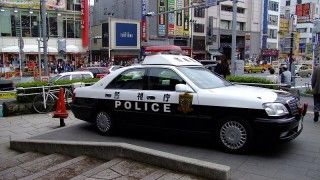 Fot. midorisyu/Wikipedia Commons/CC 2.0