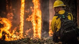 fot. skeeze / pixabay