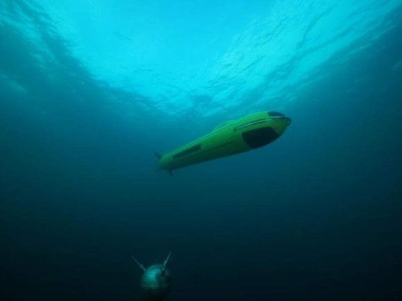 Autonomiczny pojazd podwodny A18-M może działać bez przerwy przez 24 godziny. Fot. ECA Group