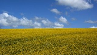 Fot. Martin Abegglen / Flickr