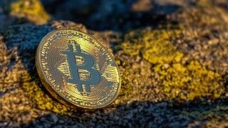 Fot. Pikrepo/Domena publiczna