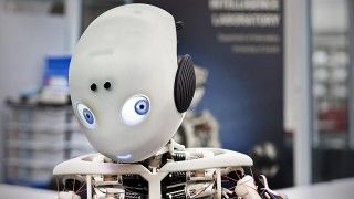 Fot. Adrian Baer/Wikimedia Commons/CC 3.0