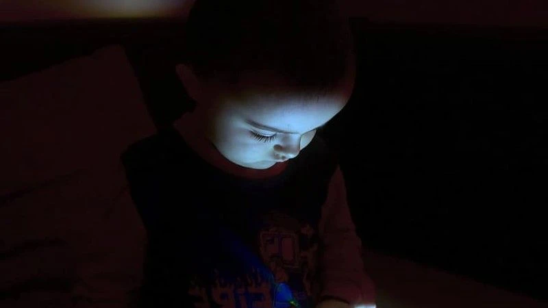 fot. pikist.com