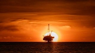 Fot. Glenn Beltz / Flickr