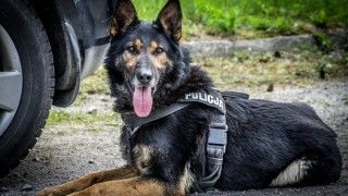 Fot. policja.pl