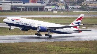 Fot. Rafael Luiz Canossa/Wikipedia Commons/CC 2.0