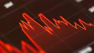 Fot. negativestock.co