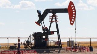 Fot. Tony Hisgett / Flickr