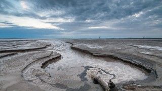 Fot. By Paweł Litwin - Praca własna, CC SA 1.0, https://commons.wikimedia.org/w/index.php?curid43406869