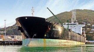 Fot. Bernard Spragg. NZ. / Flickr