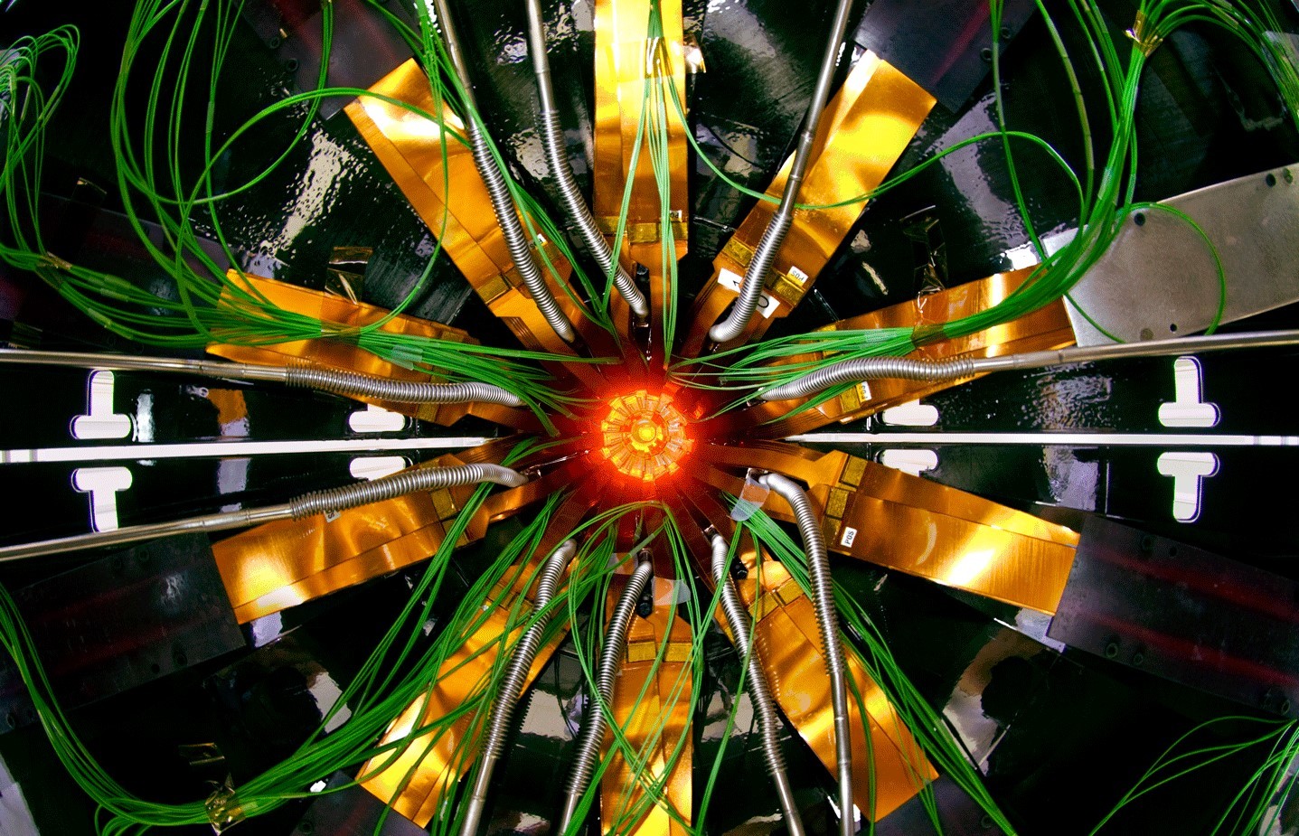 Detektor ALICE. Fot. CERN [home.cern]