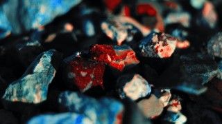 Fot. Unsplash/Frantisek G.