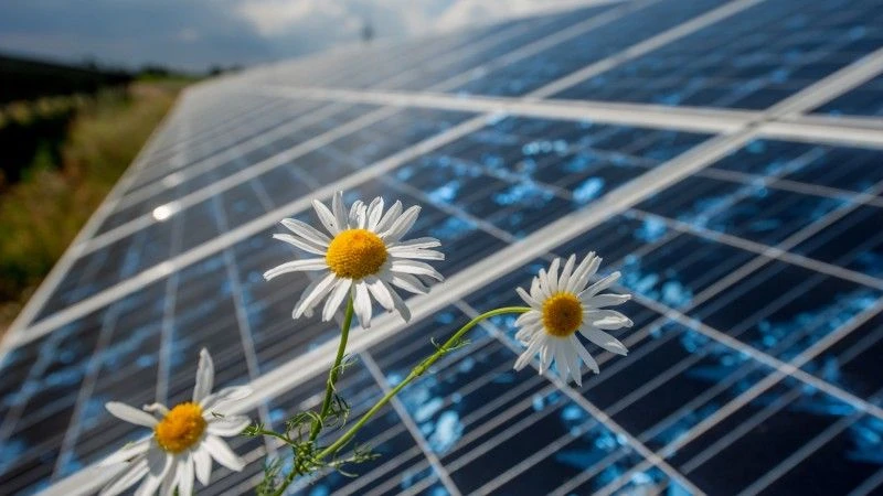 Fot. Farma PV Czernikowo / www.energa.pl