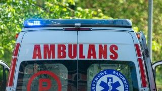 Fot. AndrzejRembowski/Pixabay