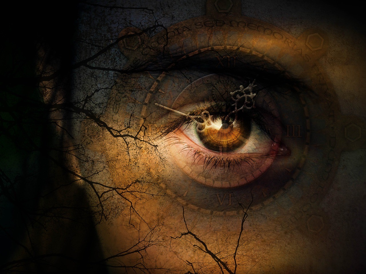 Fot. Willgard/Pixabay