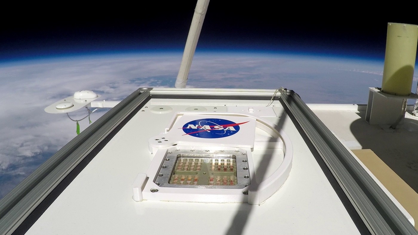Stratosferyczna platforma balonowa MARSBOx umożliwiła NASA i DLR przeprowadzenie testu odporności mikrobów. Fot. NASA [nasa.gov]