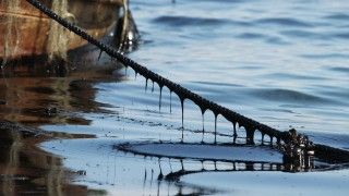 Fot. Peter Ma / Flickr