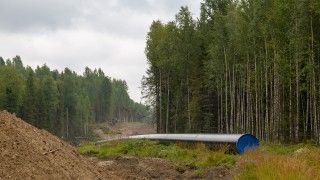 Fot. Pixabay / ilustacyjne