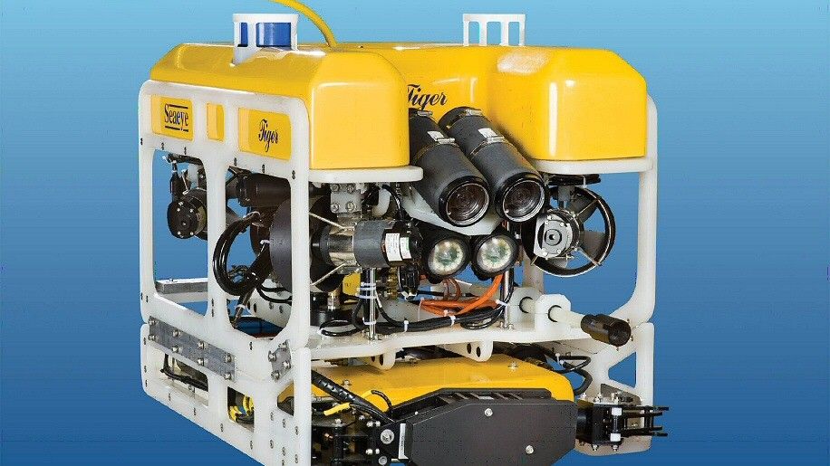 Szwedzki robot podwodny Tygrys będzie pracował również dla Egipcjan - fot. SAAB Seaeye