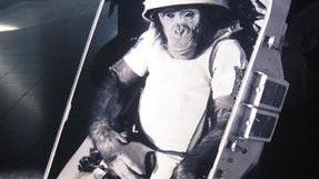 Iran, wzorem innych państw wcześniej, wysłał w kosmos małpę - fot. Internet