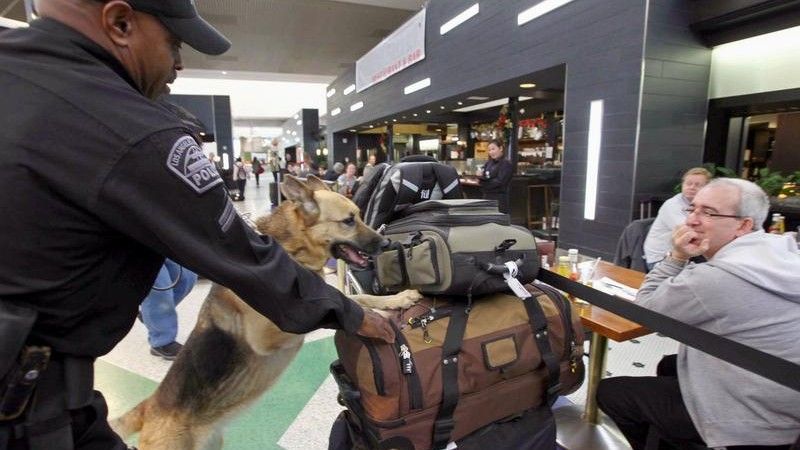 Służby Ochrony Lotniska w Los Angeles znalazły w bagażu podręcznym pasażera, m.in. granat dymny, nóż i kajdanki - fot. AP.
