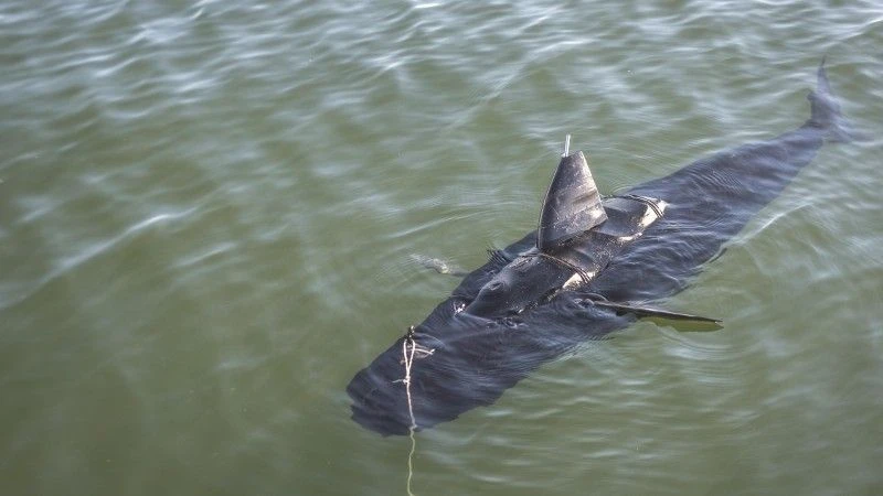 GhostSwimmer – fot. Edward Guttierrez III/US navy