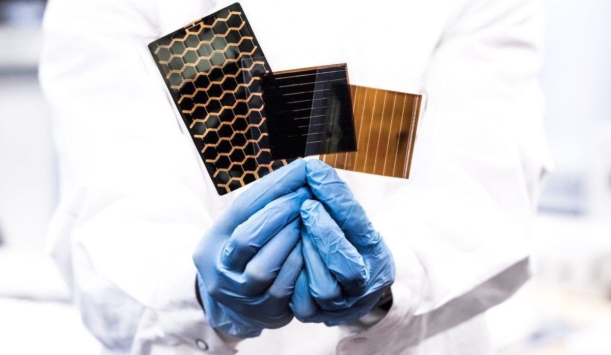 Komornik zajął konto Olgi Malinkiewicz. Spór o Saule wchodzi w nową fazę