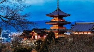 fot. fleglsebastian7 / pixabay