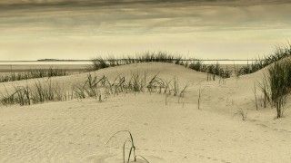 Fot. Hans Dirix / Flickr