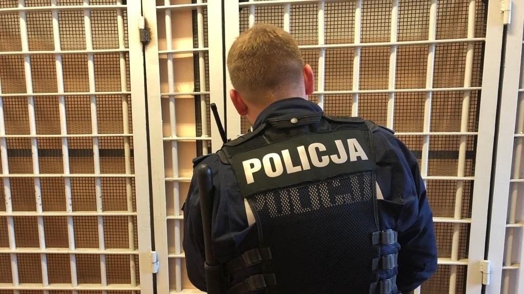 Elektroniczny tłumacz na policyjnym „etacie”