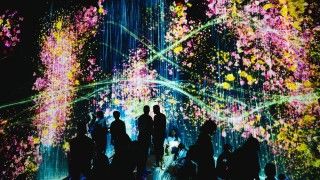 fot. Cosmin Serban/ Unsplash/ Domena publiczna