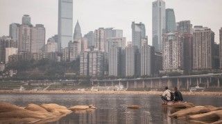 Fot. matt_vivier11 / Pixabay