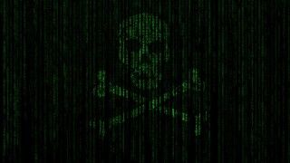 Fot. Tumisu/Pixabay/Domena publiczna