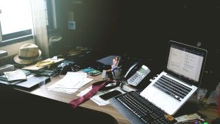 Fot. josephredfield / Pixabay