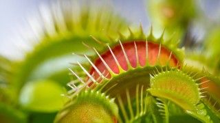 Fot. NicholasDeloitteMedia / Pixabay