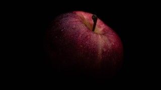 Fot. Pranjall Kumar / Unsplash