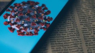 Fot.: Napendra Singh/Unsplash