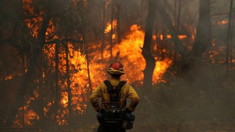 Fot. twitter / Reuters
