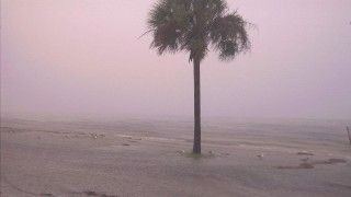 Fot. Karsun Designs / Flickr