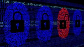 fot. freerangestock/ Domena publiczna