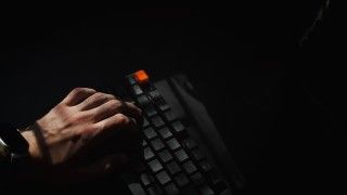 Fot. Quinton Coetzee/unsplash.com