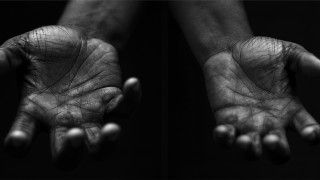 Fot. StockSnap / Pixabay