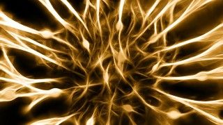 Fot. geralt / Pixabay