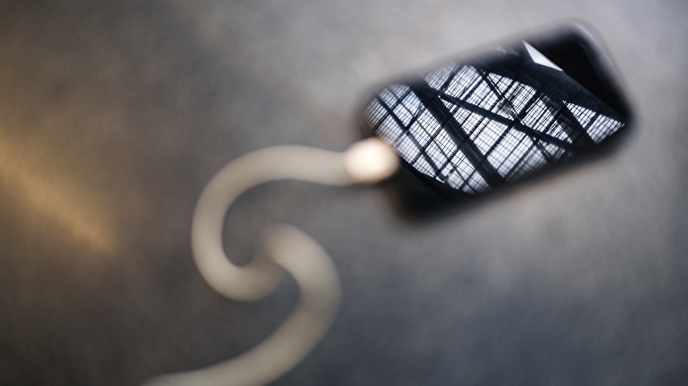 fot. Unsplash / Domena publiczna