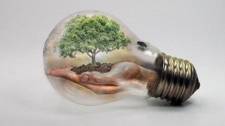 Fot. thommas68 / Pixabay